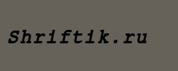 ER Kurier 866 Bold Italic 